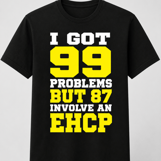 I Got 99 Problems But 87 Involve An EHCP T-Shirt